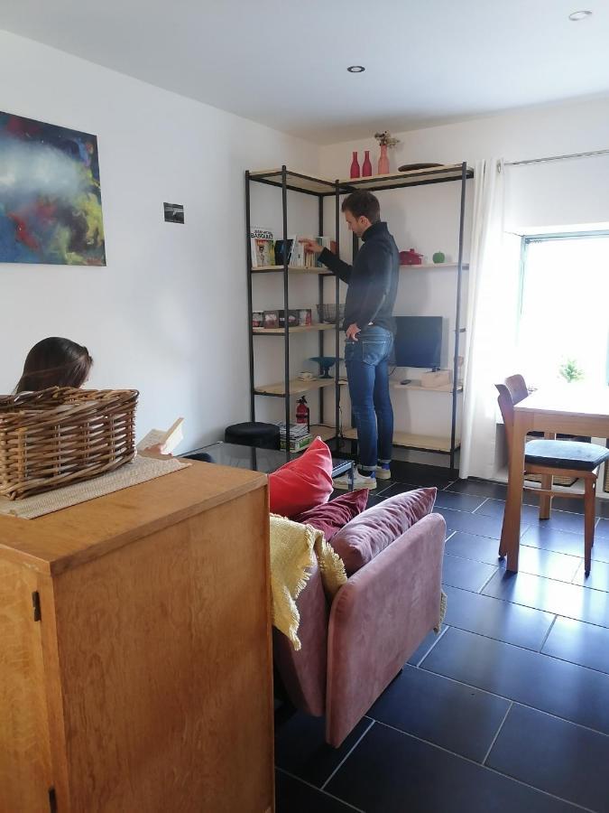 Gite La Maison La Saint-Aubin-d'Aubigne Экстерьер фото